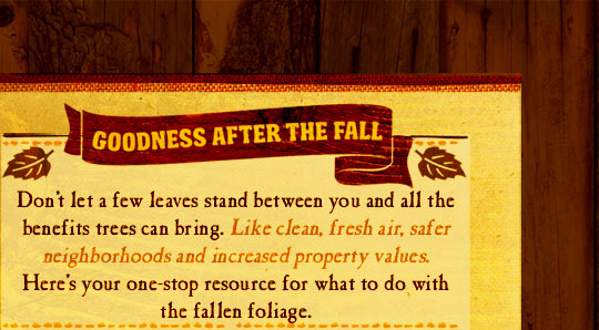 Goodness After the Fall