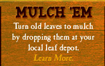 mulch 'em