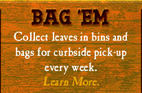 bag 'em