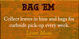 bag 'em