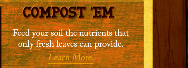 compost 'em