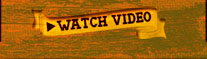 bag 'em video