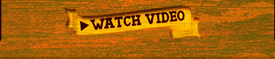 bag 'em video