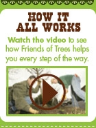 How it works