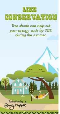 learn_conservation