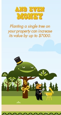 learn_money