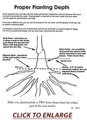 planting_depth