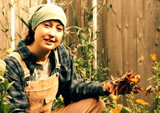 Join the Harvest