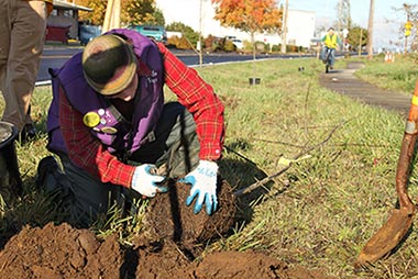 Tree_Education_in_Eugene