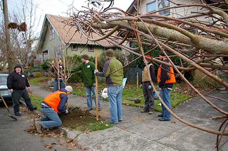 community_tree_planting_by_mary_kay_nitchie