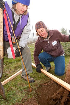 how_to_plant_chijo_takeda