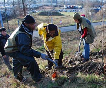 planting_trees_along_i-205_multi-use_path_by_kimberly_dinwiddie
