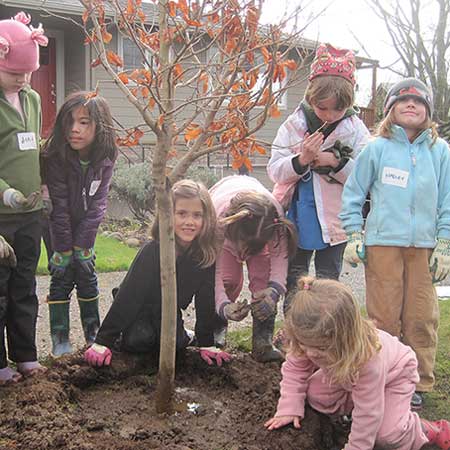 tree_care_by_brighton_west